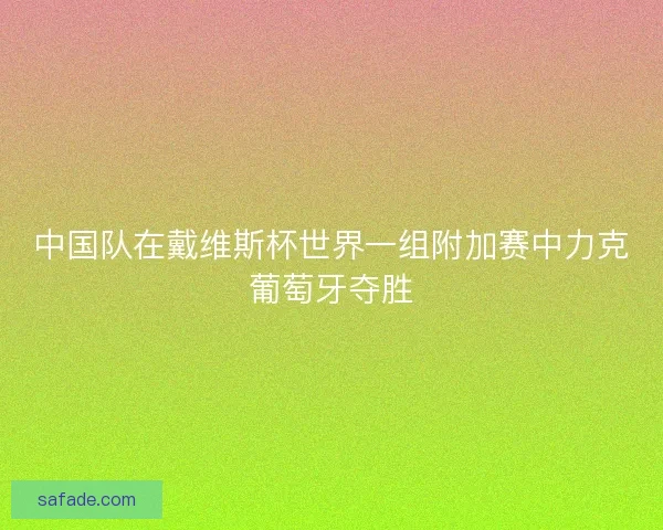 中国队在戴维斯杯世界一组附加赛中力克葡萄牙夺胜
